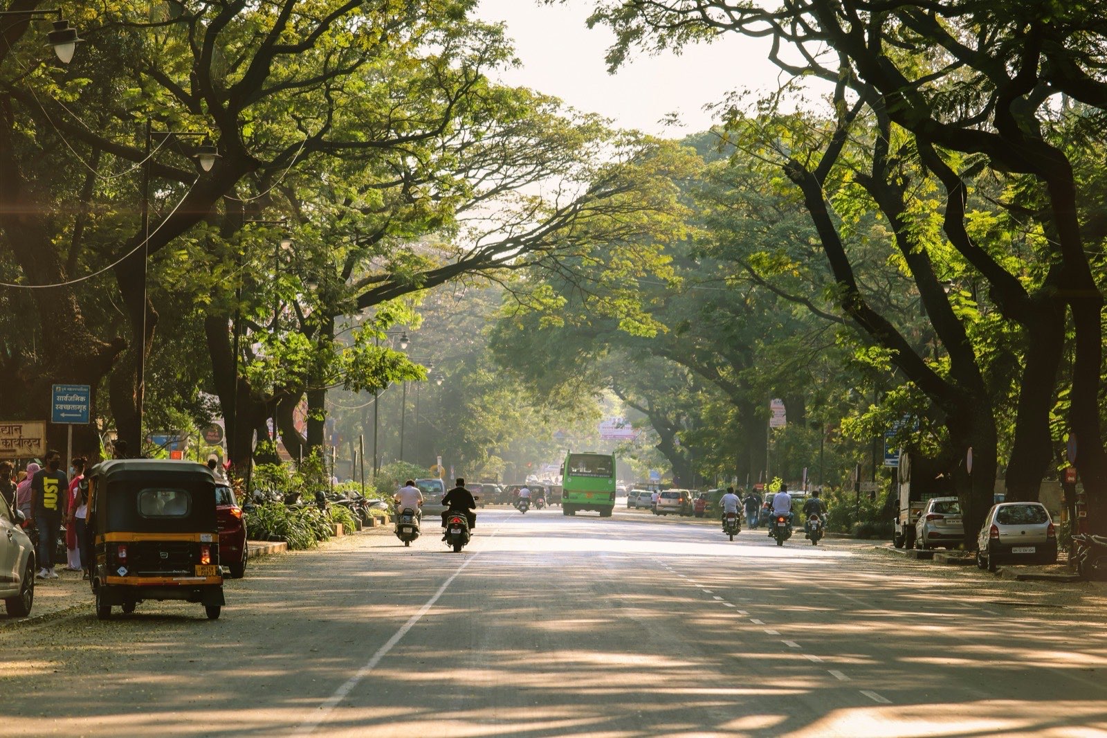 A tree-lined Indian street in the morning light, autorickshaws and motorbikes moving beneath a canopy of branches.